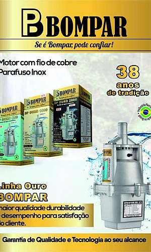 bomba sapo 110 v bomba sapo 110 v